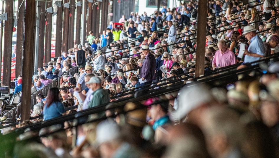 Spinaway Stakes, Saratoga Race Course, Breeders' Cup Juvenile, horse racing, America's Best Racing, ABR